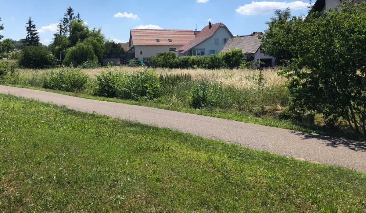 willgotheim residence la will'a pagus
